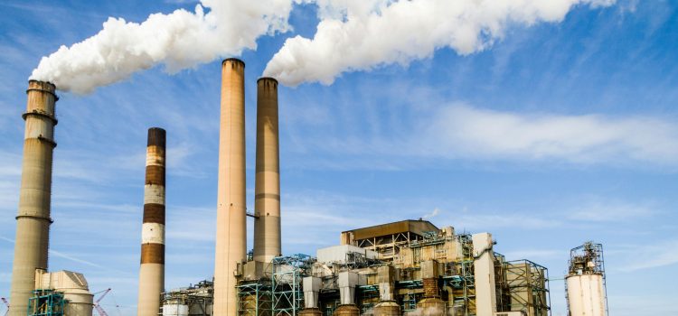 Man and nature – ecology – simulation