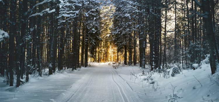 Man and nature – questions 2