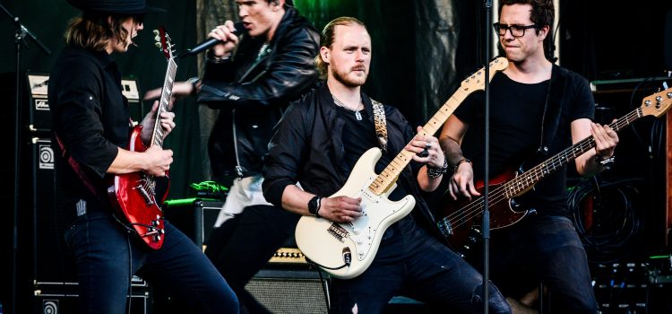 Role models and idols – simulation