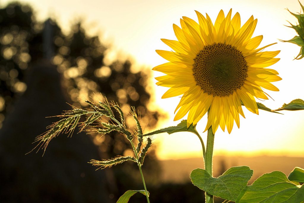 Man and nature – questions