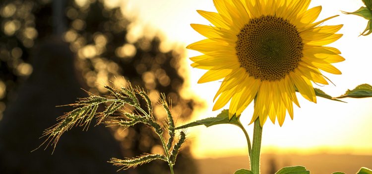 Man and nature – questions