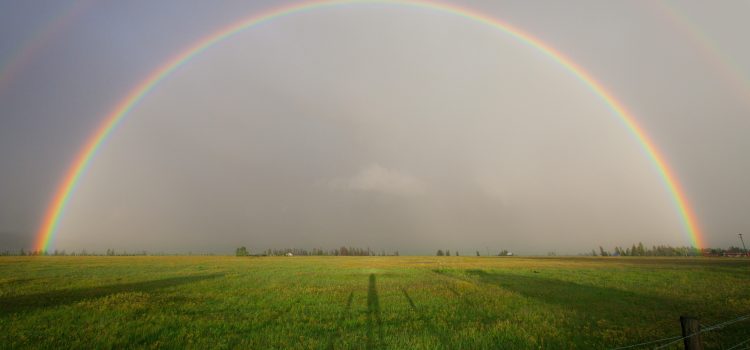 Man and nature – seasons of the year