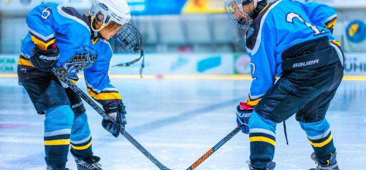 Sport and games – simulation