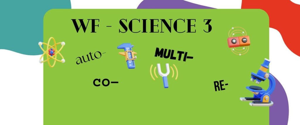 WF – process, change and action