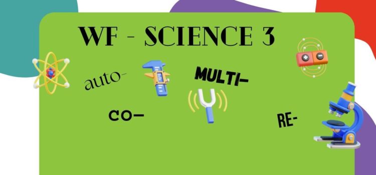 WF – process, change and action