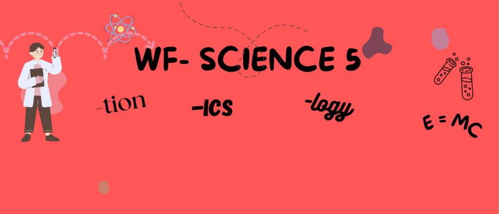 WF – processes, states and fields of study