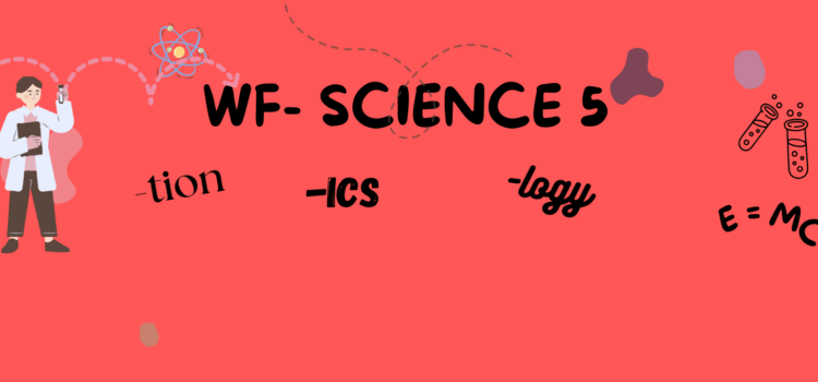 WF – processes, states and fields of study