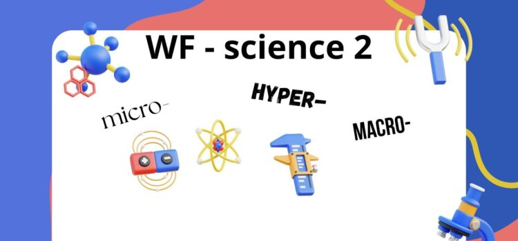 WF – size, quantity and degree